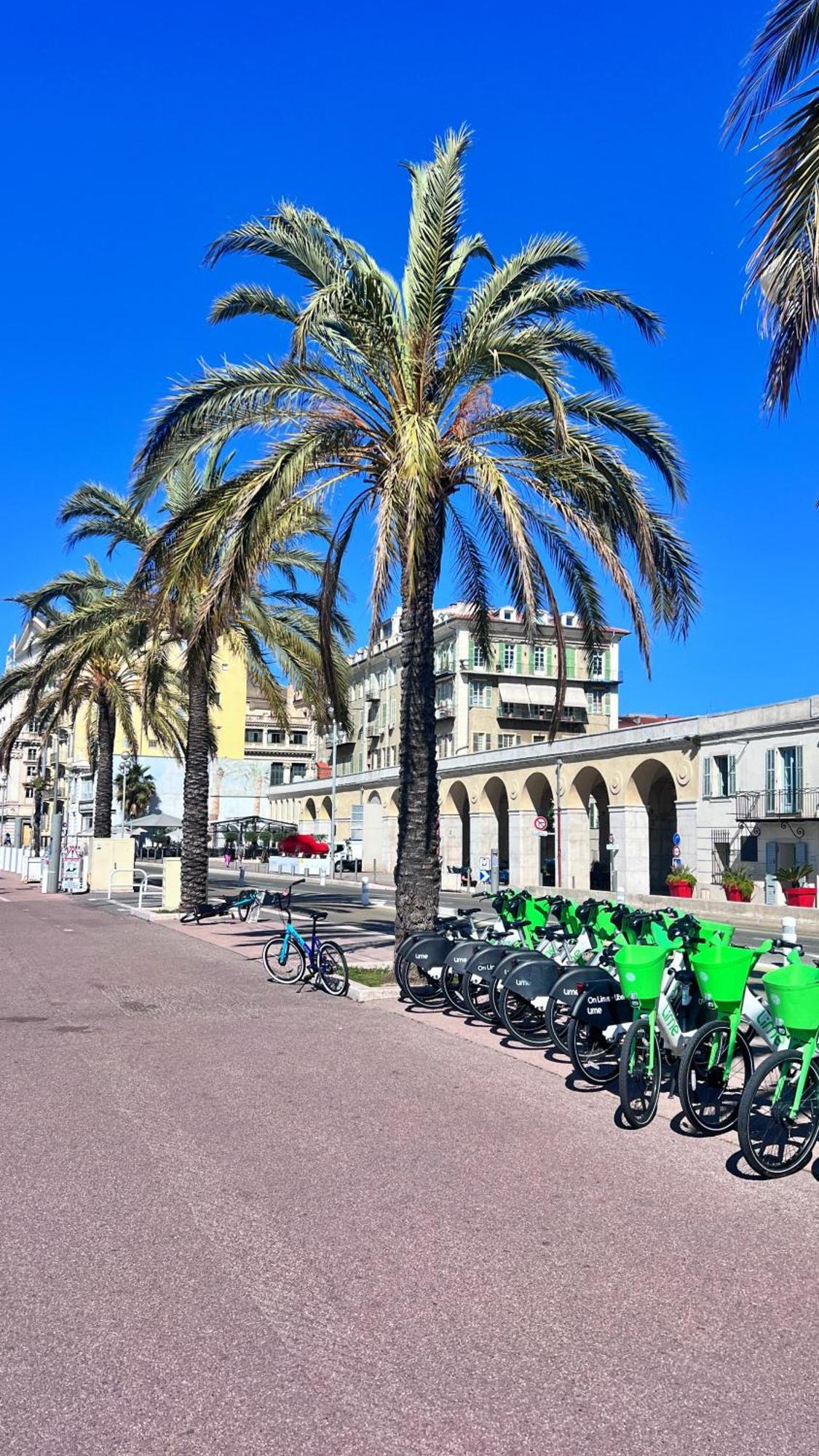 L'Arche Du Vieux Nice Lägenhet Exteriör bild